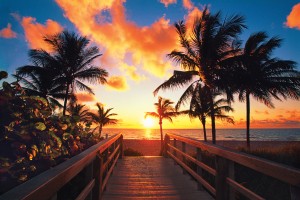 hi_HollywoodBeach_Sunrise-AlanMaltz