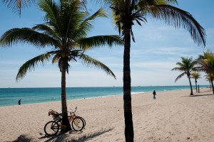 hi_PalmTreeBike