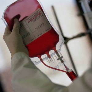 Blood-Bag Blood-Bag