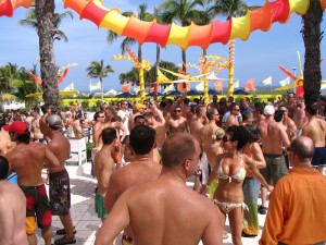 IMG_0951 IMG_0951